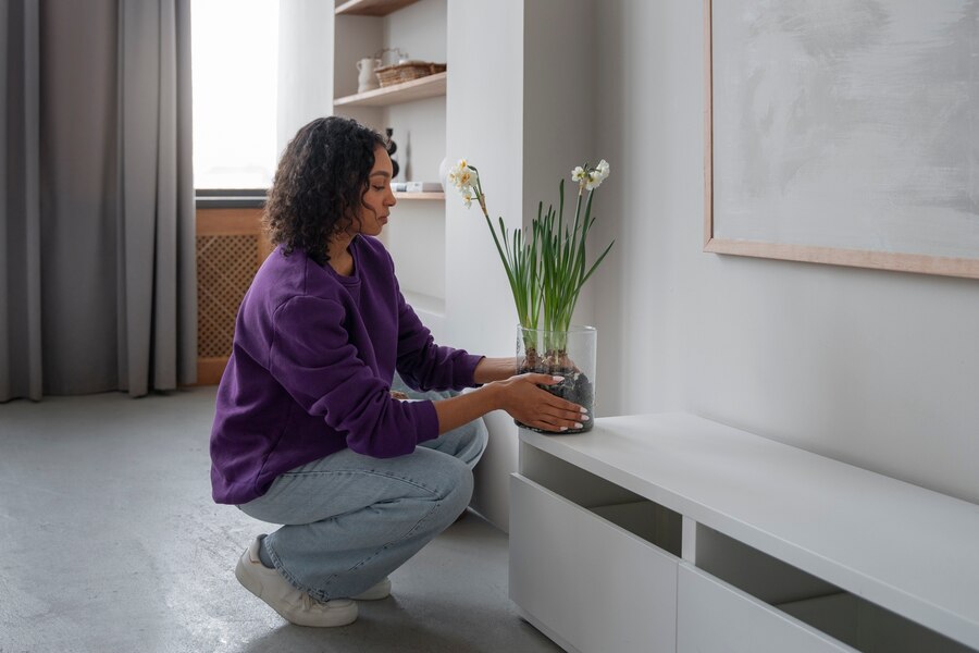 Dicas de Decoração para Aproveitar ao Máximo Seu Espaço: Ideias Inteligentes para Transformar sua Casa